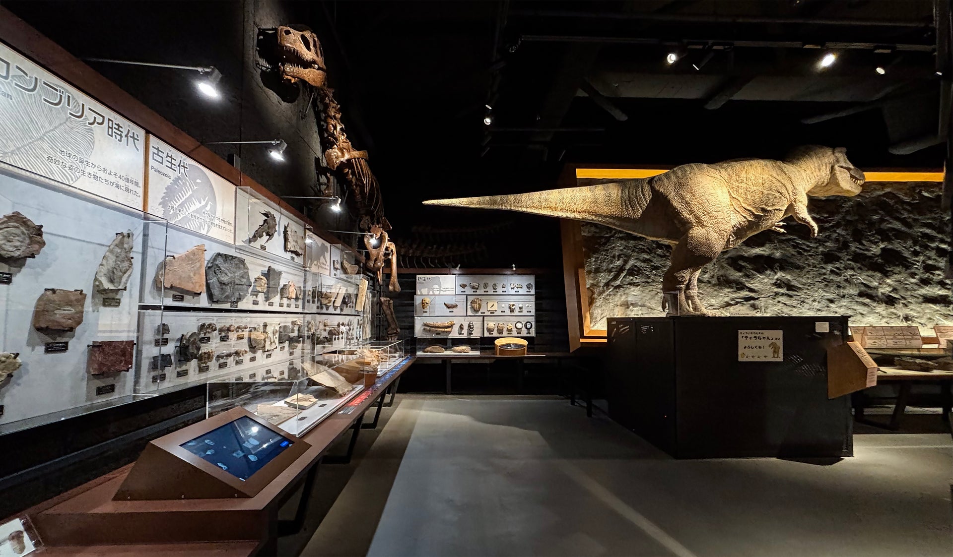 富山市科学博物館5